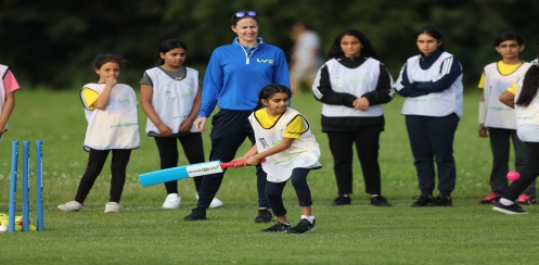 Cricket