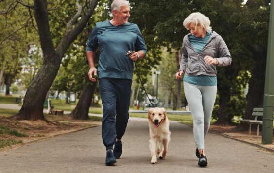 jogging-with-dog-564x356