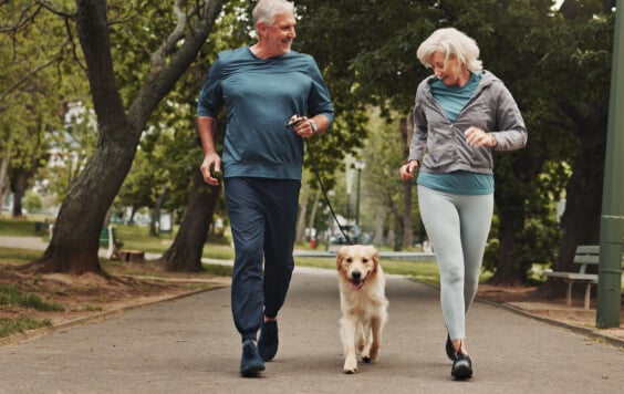 jogging-with-dog-564x356