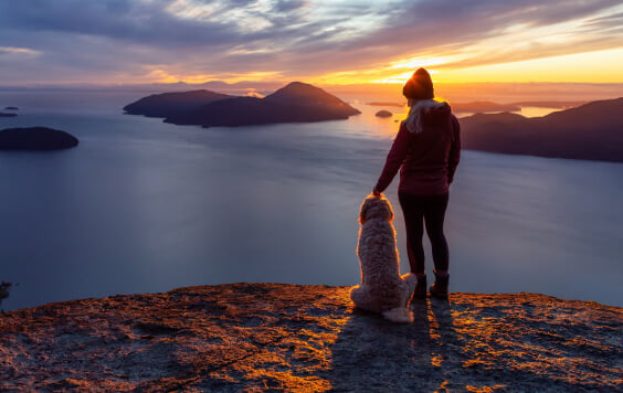 Woman and her dog looking out at the sea