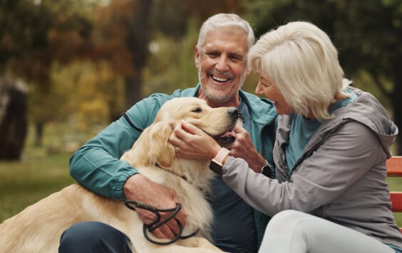 couple-playing-with-dog-564x356