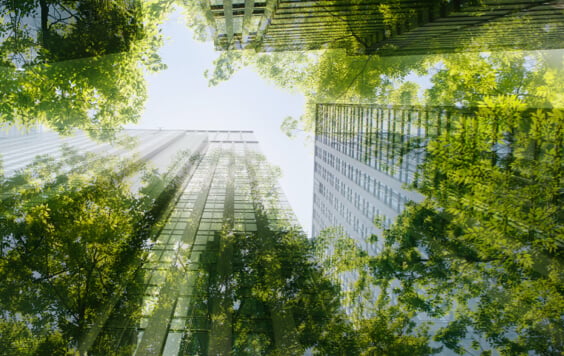 Skyscrapers with shrubbery