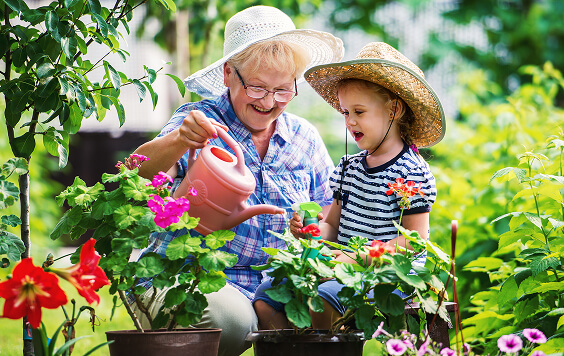 Grandmother and granddaughter watering plants