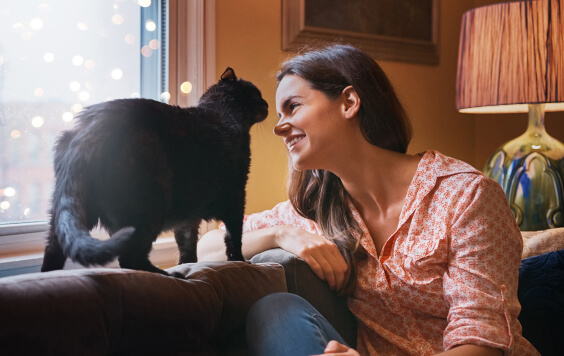 Young woman on a sofa with a cat