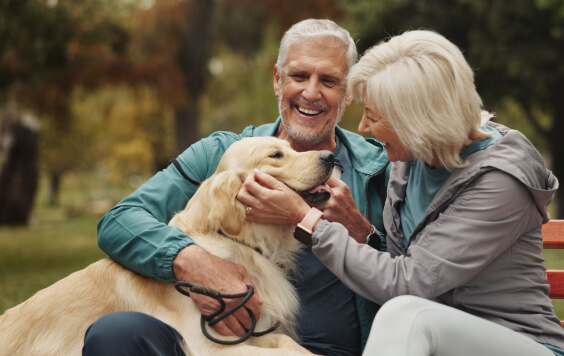 couple-playing-with-dog-564x356