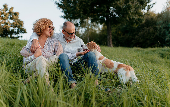 Older couple playing with their dog on the grass