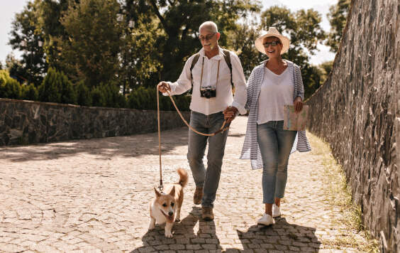 Couple of retirement age walking their dog in the city on a sunny day