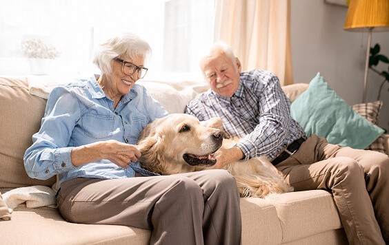 Older couple playing with their dog