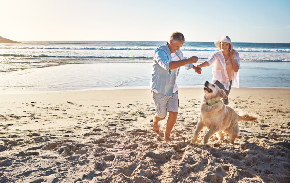 beach-dog-fun-995x511