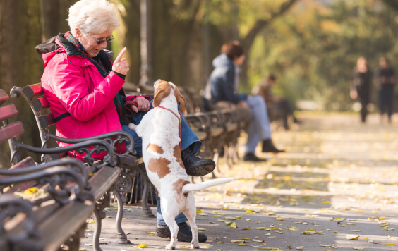 Old woman with a dog