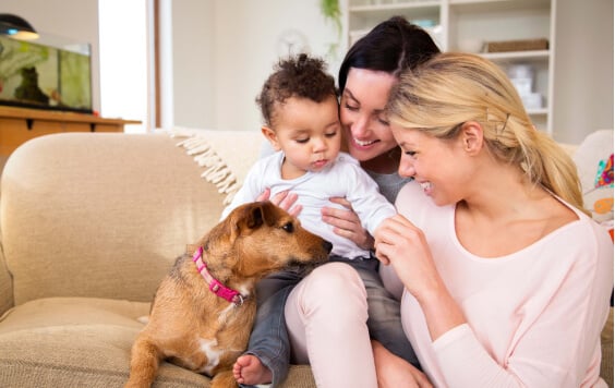 Same sex female couple sitting with their son and dog on the sofa in their home