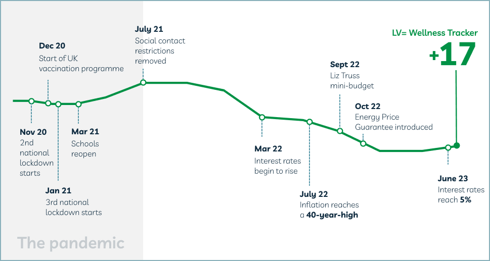 Wellness tracker graph