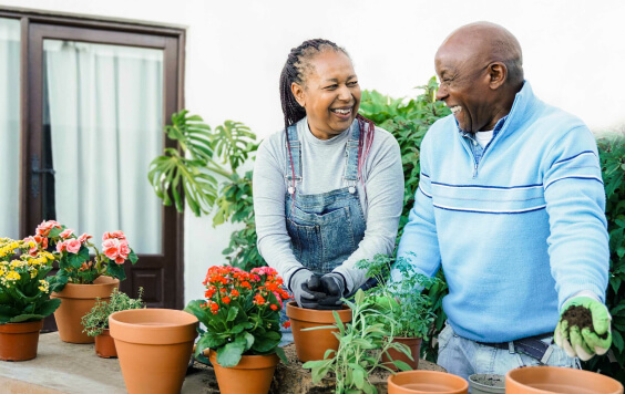 African senior people gardening with flowers in backyard house